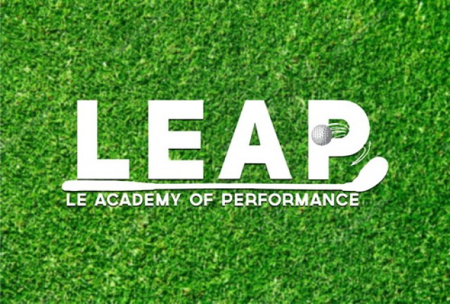 Leap 500